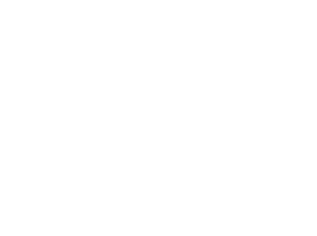 PolyDonut